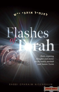 Flashes of Torah Flashes of Torah