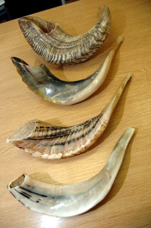 Shofar Small