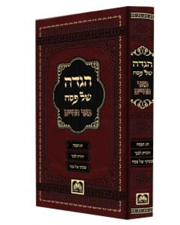 הגדה באר החיים - עוז והדר - Haggadah 