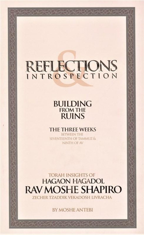 Reflections and introspection - building from the ruins 