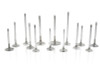  Ferrea Honda H22A1/A4 30mm 5.48mm 107.1mm 22 Deg Flo Stock Super Alloy Exhaust Valve - Set of 8 - F1823P 