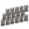  Supertech Toyota Supra 2JZ-GE/2JZ-GTE Dual Valve Spring - Set of 16 - SPR-TS1015-16 