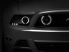 Raxiom 13-14 Ford Mustang GT CCFL Halo Fog Lights (Smoked) - 49177 Photo - Primary