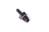 Radium Engineering 6AN to 5/16 Barb Fitting - 14-0252 Photo - Primary