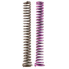 Moroso 2 Piece Oil Pump Spring Kit (For 22171/22192/Spur Gear SBC) - 22852 User 1
