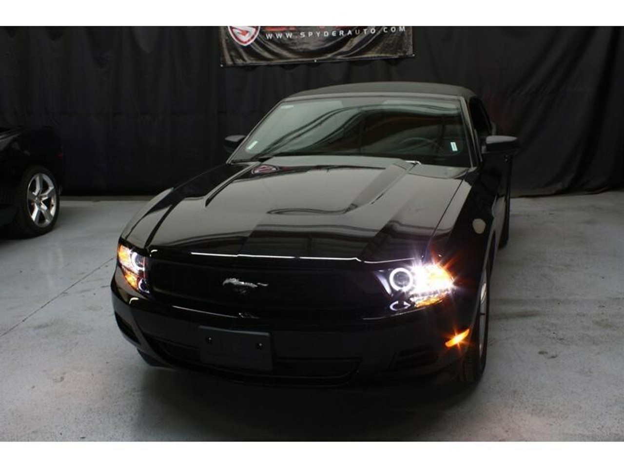 SPYDER Spyder Ford Mustang 99-04 Projector Headlights LED Halo Black High H1 Low H1 PRO-YD-FM99-1PC-AM-BK - 5010445