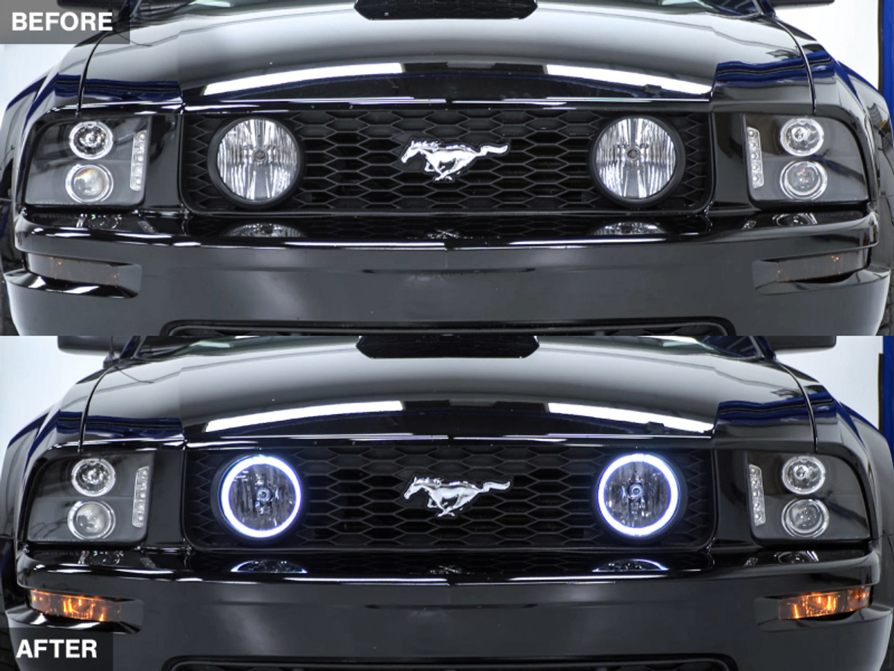 Raxiom 05-12 Ford Mustang GT LED Halo Fog Lights (Smoked) - 49134 Photo - Close Up