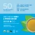 White Tea Individually Wrapped 50 Count Pyramid Tea Bags 