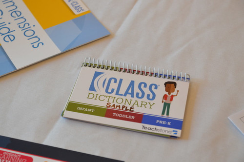 CLASS Dictionary/CLASS Strategy Cards Bundle