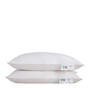 No Retail Packaging (Goose Feather) Pillow