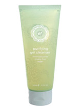 HoneyBee Gardens Purifying Gel Cleanser – main product photo