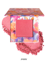 Wildflower Blooming Blush, Poppy