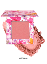 Wildflower Blooming Blush, Primrose