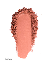 Wildflower Blooming Blush Foxglove