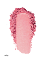 Wildflower Blooming Blush Tulip