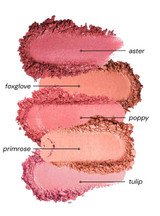 HoneyBee Gardens Wildflower Blooming Blush -  SINGLE SAMPLES – color chart
