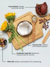 HoneyBee Gardens Tropical Lip Balm – cocoa butter ingredient