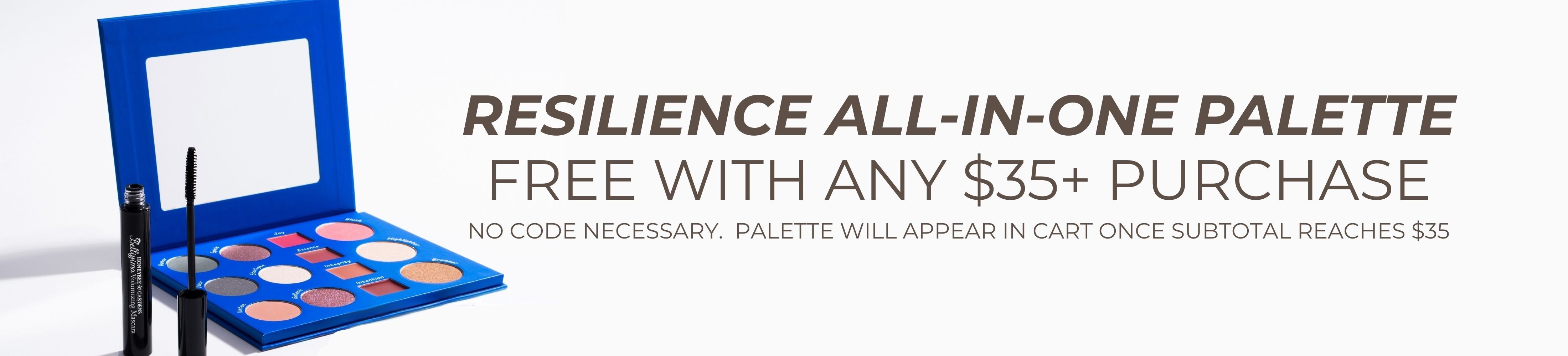 resilience-banner.jpg