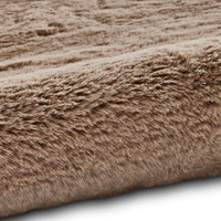 Teddy Soft Shaggy Mink Rug