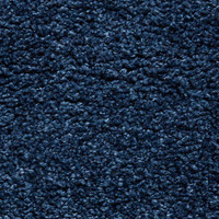 Sierra 9000 Dark Blue Rug