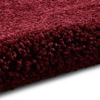 Sierra 9000 Ruby Rug