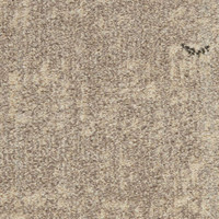 Celestial Ivory Grey CES02 Rug