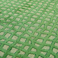 Alta Green 9249 Structures Trammel Rug