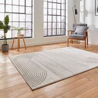 Apollo 2683 Grey Ivory Rug