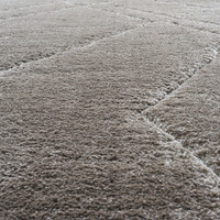 Silky Soft Dune Rug 7292