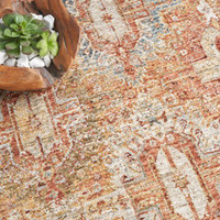 On Sale Sahar Distressed Vintage Rust Rug SHR01 160x234