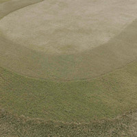 Halo Sage Green Thick Wool Viscose Indian Rug