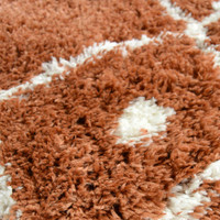 Snug Super Soft Shaggy Rug Nomadic Terra