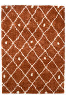 Snug Super Soft Shaggy Rug Nomadic Terra