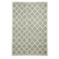 Coral Green Modern Washable Rug