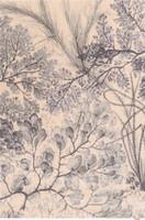V&A Calisia Kelp Mint Floral Rug