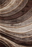 bronze shaggy rug portrait