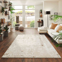 beige abstract rug in a living room