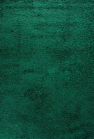 plain shaggy emerald rug portrait