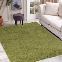 plain shaggy green rug in a living room