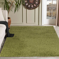 plain shaggy green rug in a living room