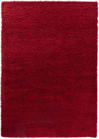 plain shaggy red rug portrait
