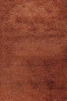 plain shaggy terracotta rug portrait