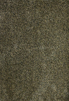 brown dirt trapper doormat portrait