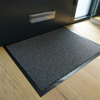 silver non-slip dirt trapper mat in front of a door indoors