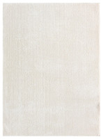 plain white rug portrait