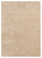 plain beige rug portrait