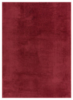 plain red rug portrait
