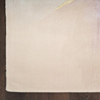 ivory floral rug closeup corner on dark wood floor