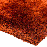 On Sale Ultra Thick Plush Shaggy Rug Rust Orange 160x230cm