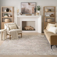 ivory traditional rug in a living room with natural decor